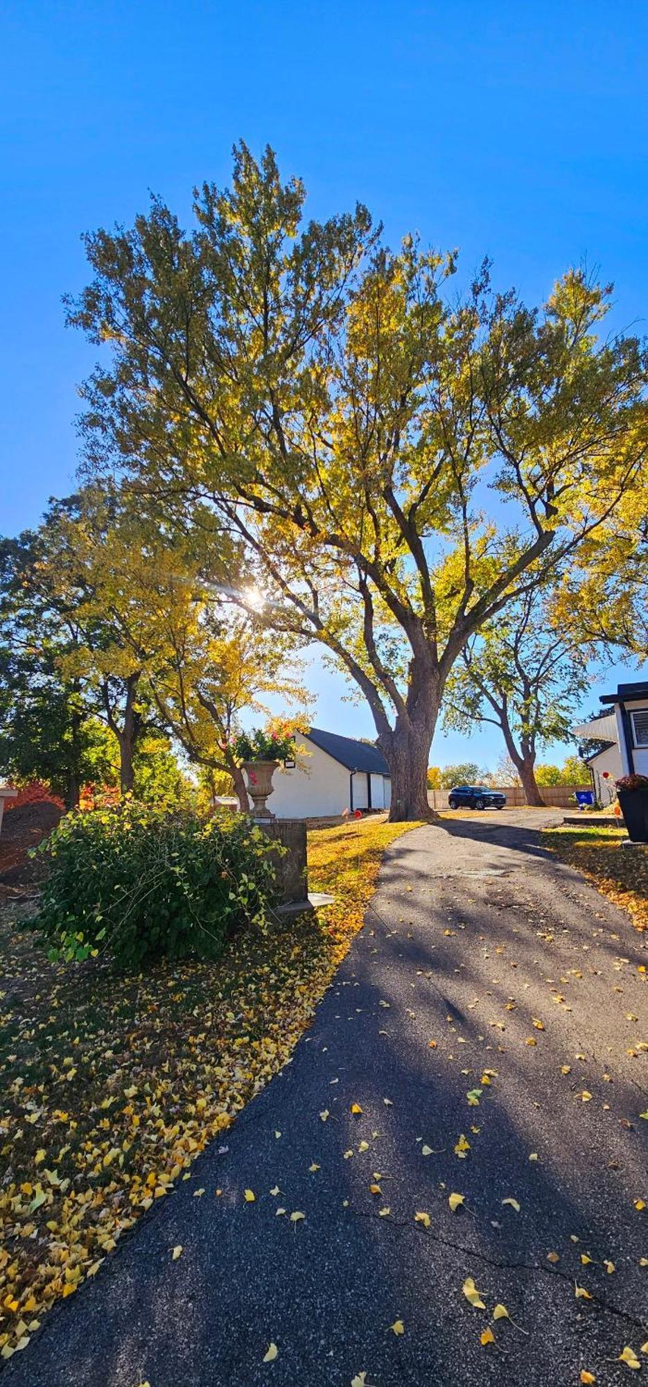 1908 Modern Farmhouse On Large Private Treed Lot Shawnee Esterno foto